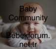 IMG_2094.jpeg