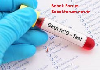 Beta HCG Nedir Hafta Hafta Gebelikte HCG Değerleri ve Yorumları-5748573939485729005736.jpg