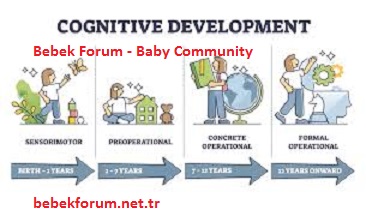 COGNITIVE DEVELOPMENT THEORY – PIAGET.jpg