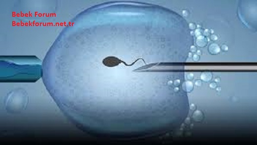 Devlet Hastanesinde Tüp Bebek Ücretsiz mi - 394723947942942392.jpg