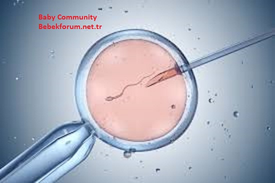 How does IVF work-93723949423493436434674784783478462378462378462378.jpg
