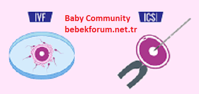 What is the Difference Between ICSI and IVF.png