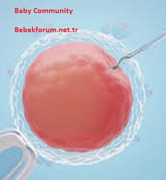 Who Needs IVF Treatment - 04352346737342123131.jpg