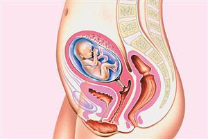 17 Week Of Pregnancy