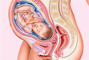 38 Week Of Pregnancy